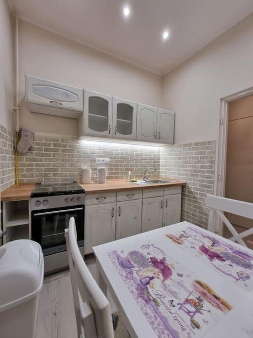 Vintage Apartman In City Center Miskolc Eksteriør billede