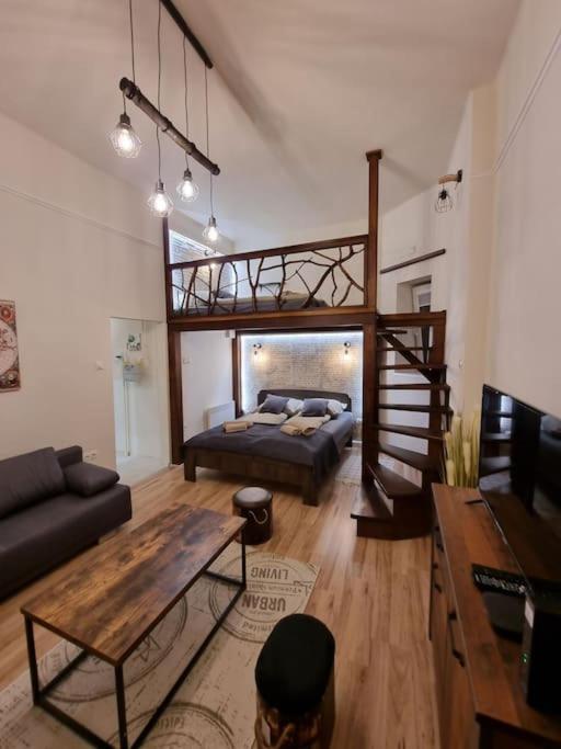 Vintage Apartman In City Center Miskolc Eksteriør billede